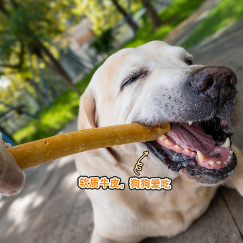 宠物狗零食磨牙咬胶小中大型犬拉布拉多洁齿耐咬自嗨鸡肉泥牛皮棒