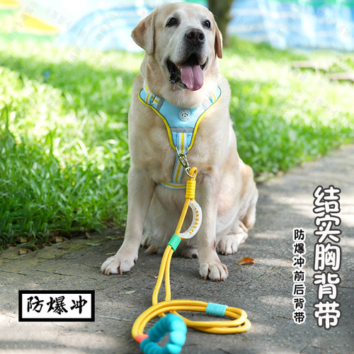 胡萝卜萌宠宠物狗胸背带防爆冲