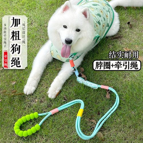 双层牵引 从小用到大