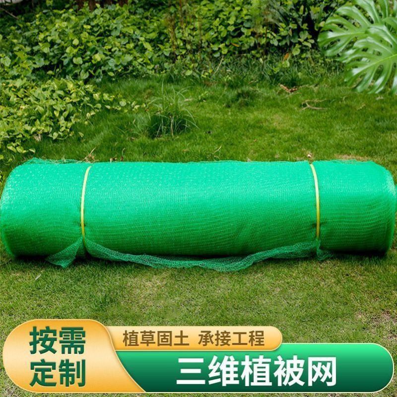 包邮边坡绿化防护三维植被网EM1EM2EM3Em4护坡护土客土喷播