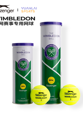 Slazenger史莱辛格网球温网比赛用球高弹单人练习初学者训练球3粒