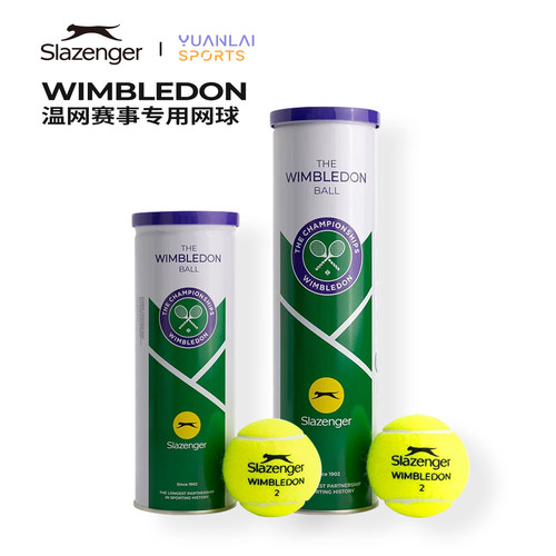 Slazenger史莱辛格网球温网比赛用球高弹单人练习初学者训练球3粒