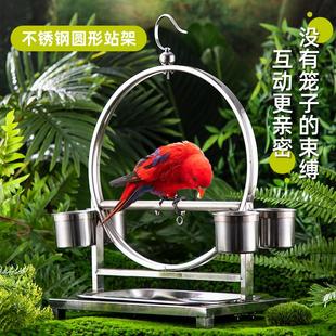 鸟站架鹦鹉鸟站架子小型大型不锈钢鸟架训鸟站架桌面落地鸟架脚链