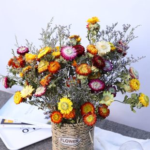 麦秆菊花束太阳花真花风干天然植物干花家具摆件干花花束