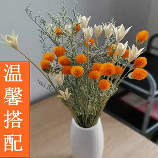 云南干花真花家居装饰插花束餐桌草莓花瓶摆件客厅满天星轻奢