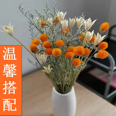 干花云南干花花束真花批发满天星