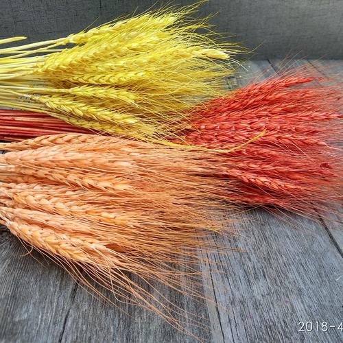 云南麦子大卖田园风礼物小华花束