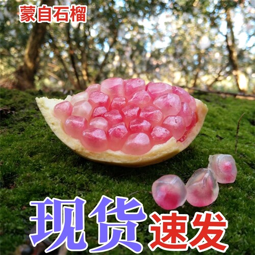 【现货老树老石榴】正宗云南硬籽石榴新鲜水果当季现摘现发蒙自发
