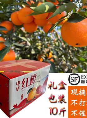【正宗】秭归血橙中华红橙当季新鲜水果10斤整箱手剥橙爆汁顺丰