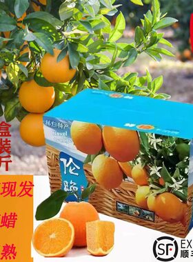 秭归脐橙新鲜橙子10斤应当季水果冻甜橙夏伦晚整箱冰糖手剥橙顺丰