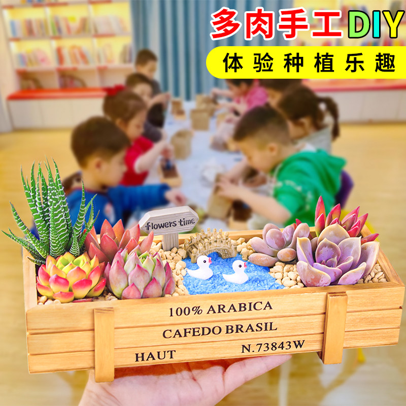 多肉植物组合室内小盆栽手工DIY拼盘桌面绿植花卉幼儿园活动礼品