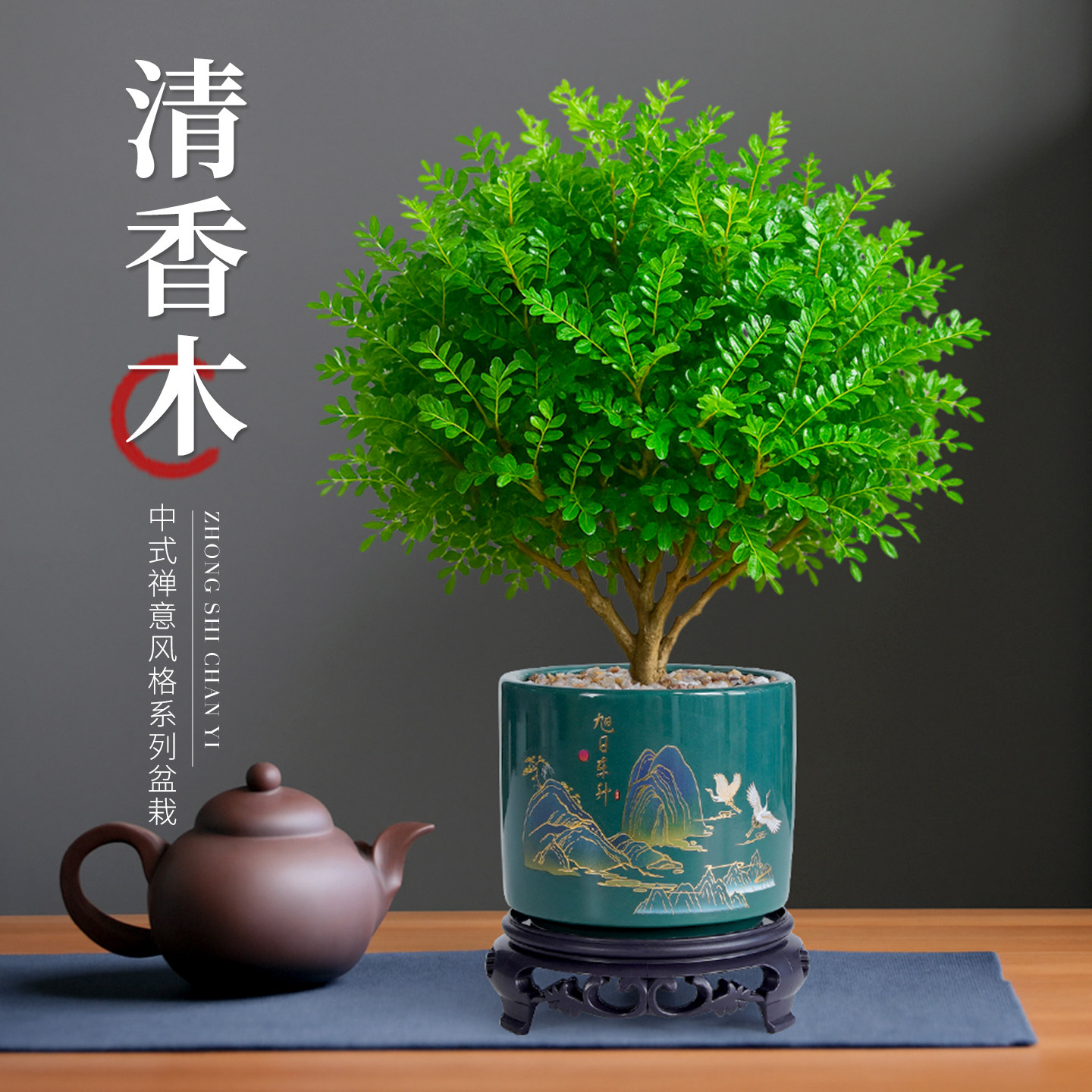 正宗清香胡椒木盆栽绿植花卉室内阳台驱蚊树苗老桩盆景薄荷迷迭香