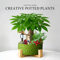 Money tree potted flowers, green plants, indoor plants, office desk bonsai, ornaments, living room, prosperous house, easy to take care of throughout the four seasons thumbnail 3