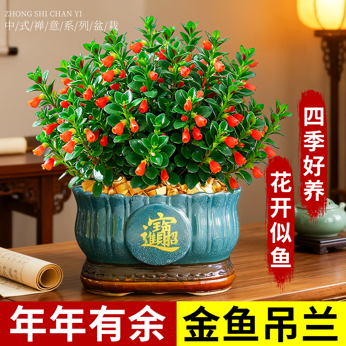 大盆金鱼吊兰盆栽旺宅发财绿植办公室内桌面客厅四季常青净化空气