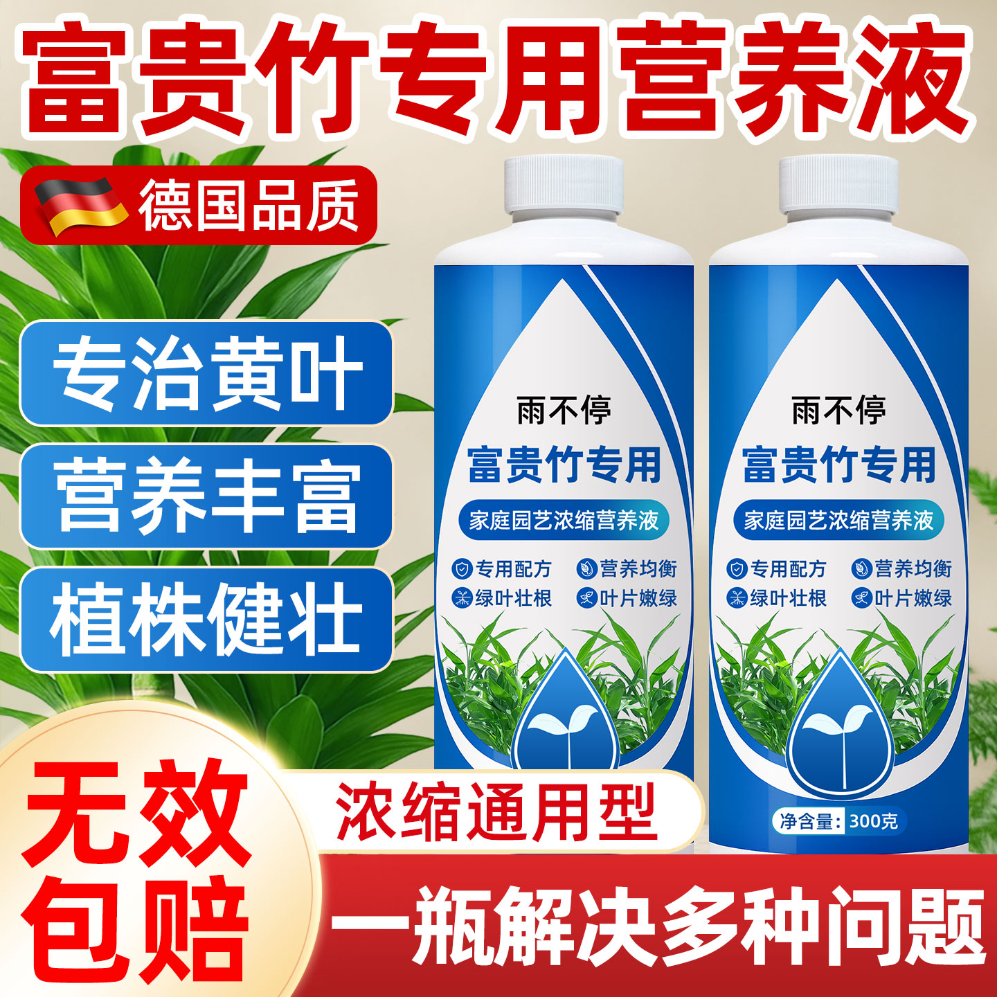 富贵竹专用营养液水培绿植物
