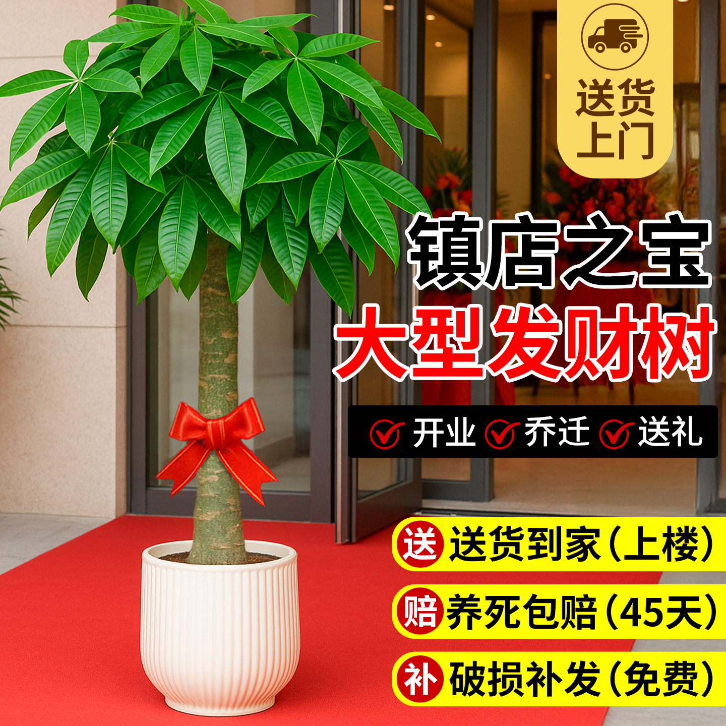 发财树大型绿植客厅旺宅