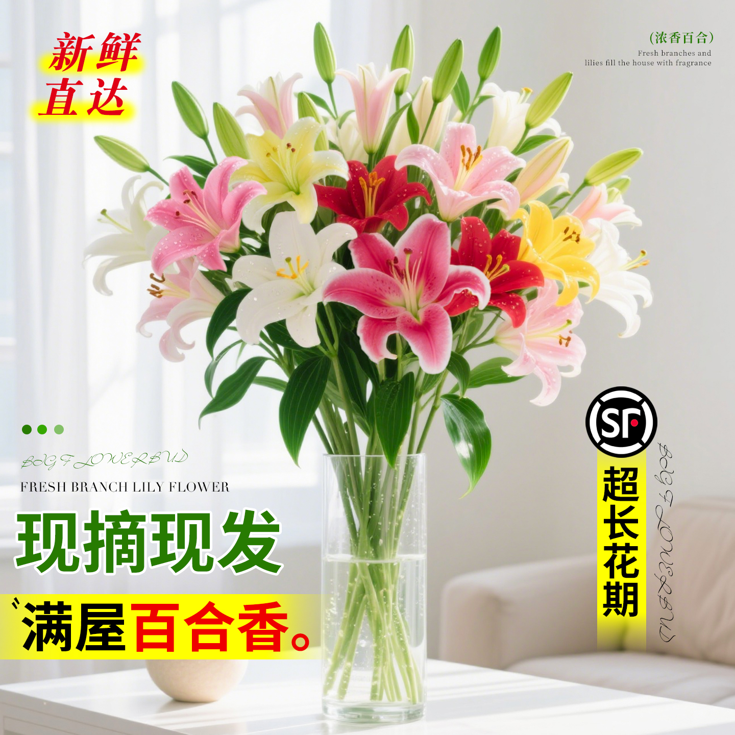 香水百合花鲜花云南基地直发水培花卉多头鲜切花家用插花新鲜真花