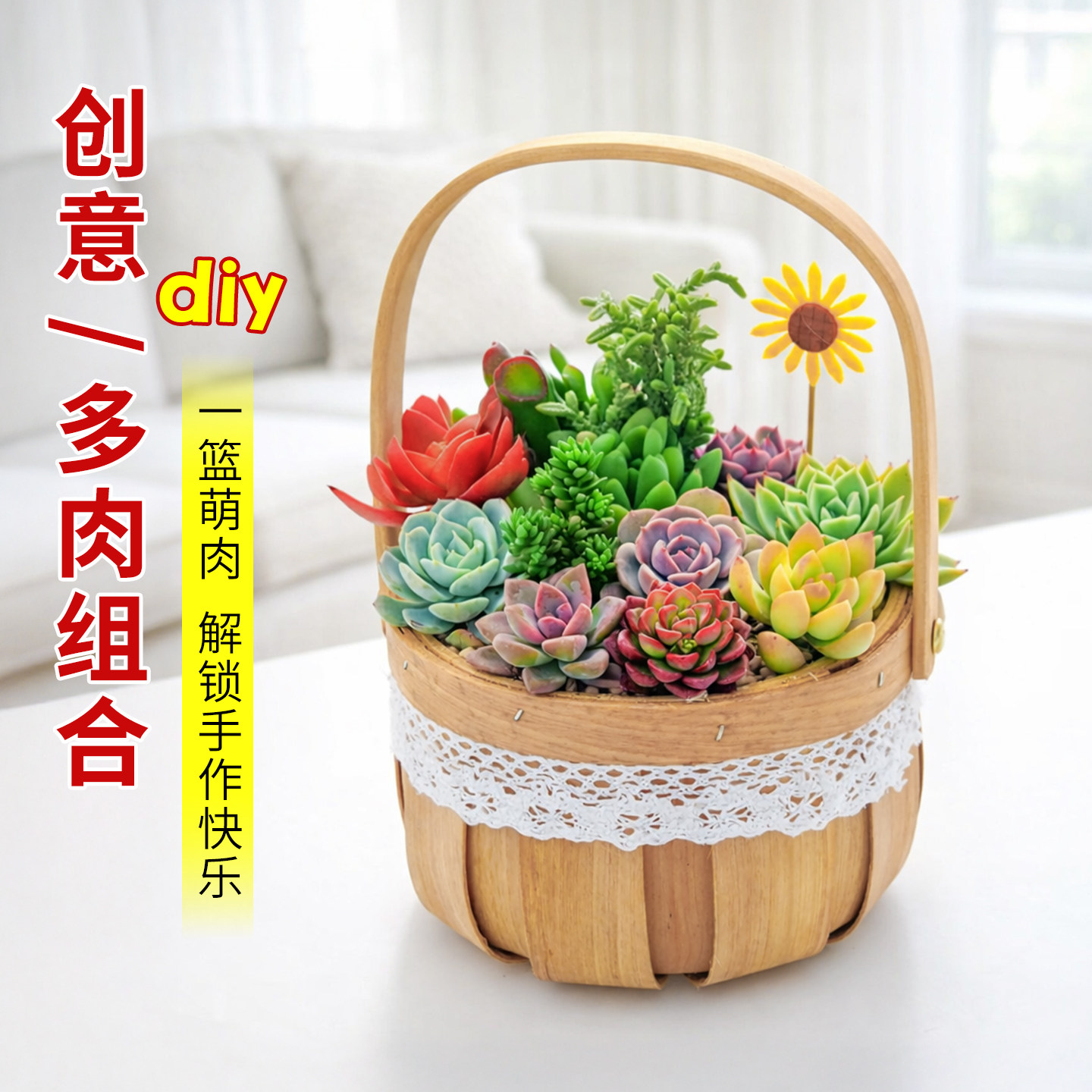多肉diy花篮多肉植物材料包微景观套餐幼儿园手作手工送礼物礼品