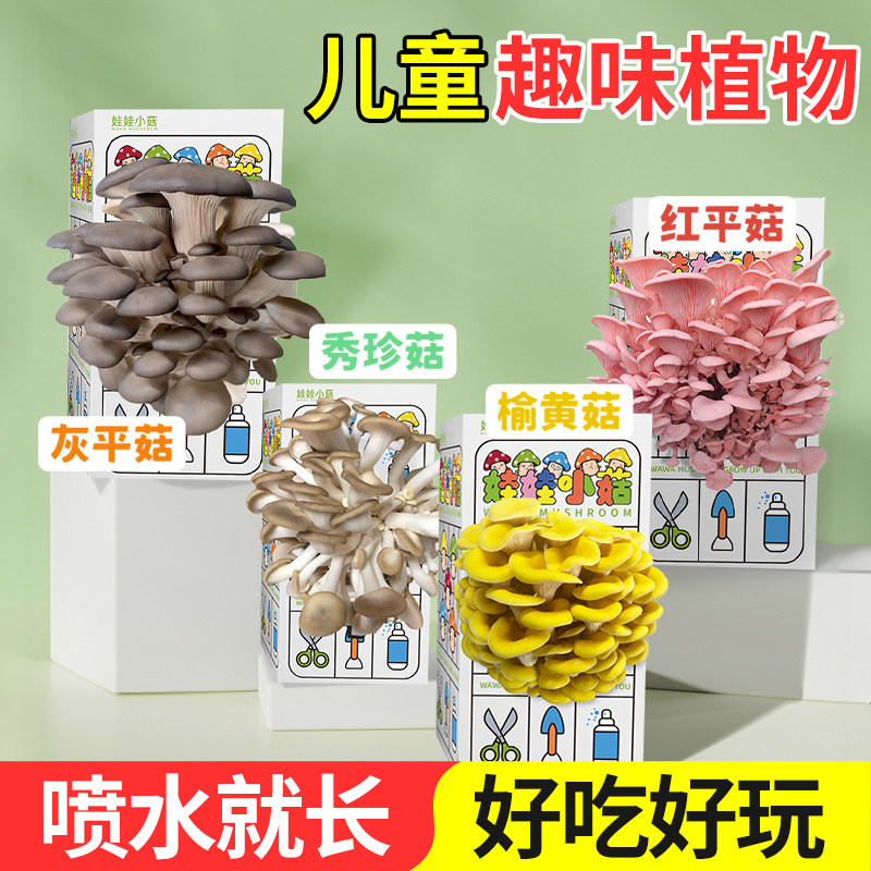 蘑菇种植包儿童DIY可食用菌菇包小盆栽礼品学校家庭桌面趣味植物图片