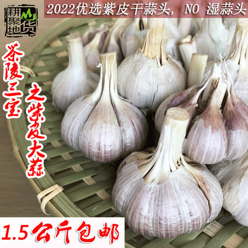 湖南特产2026年新蒜干蒜头茶陵大蒜食用紫皮蒜农家自晒1500克包邮