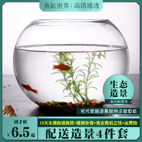 小鱼缸客厅桌面玻璃鱼缸水族箱小型龟缸家用乌龟缸圆形过滤金鱼缸 - 封面