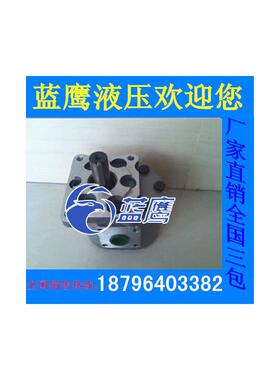 新款CBN/CBT-F532 E532 E32 G532 F32 E50 CB32齿轮油泵 CB-5包邮