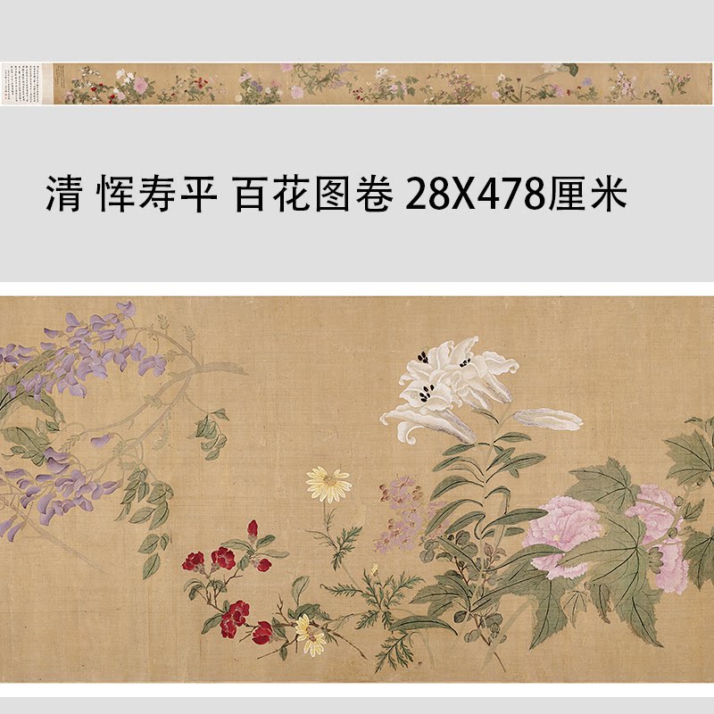 清 恽寿平 百花图卷大都会博物馆藏没骨画法花卉工笔临摹学习画稿