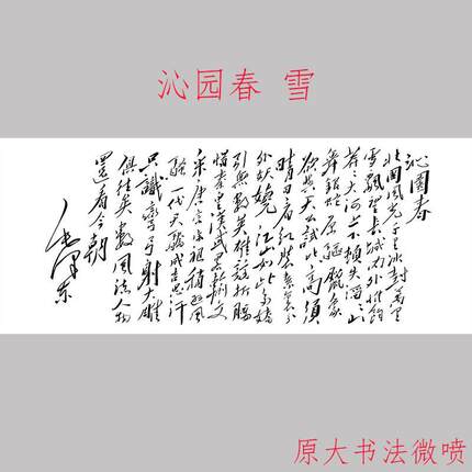 沁园春 雪 书法字画行草高清微喷仿真复制临摹玄关酒店客厅装饰画