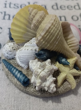 老货贝壳瓶盖摆件装饰