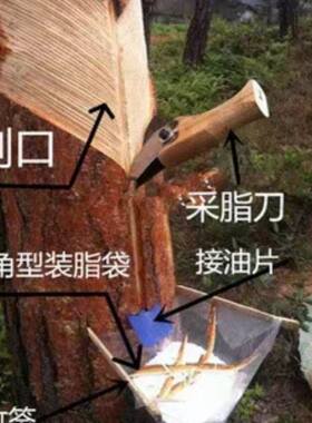 加厚双封线牢固防晒不掉袋装3-8斤松脂超厚三角松油袋松脂袋