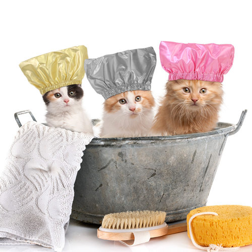 TEMU宠物猫咪沐浴帽防进水耳罩宠物头套猫帽狗狗洗澡帽防水帽