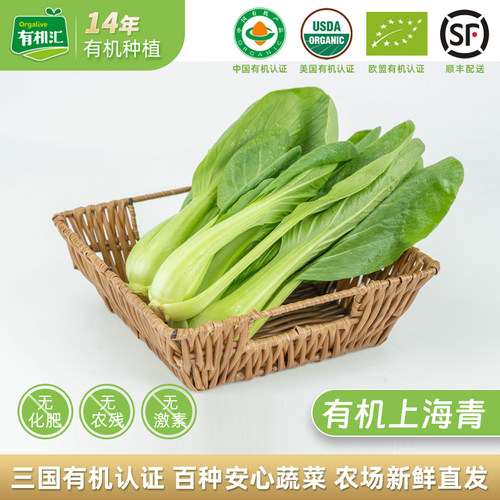 有机蔬菜上海青无农残青菜叶菜
