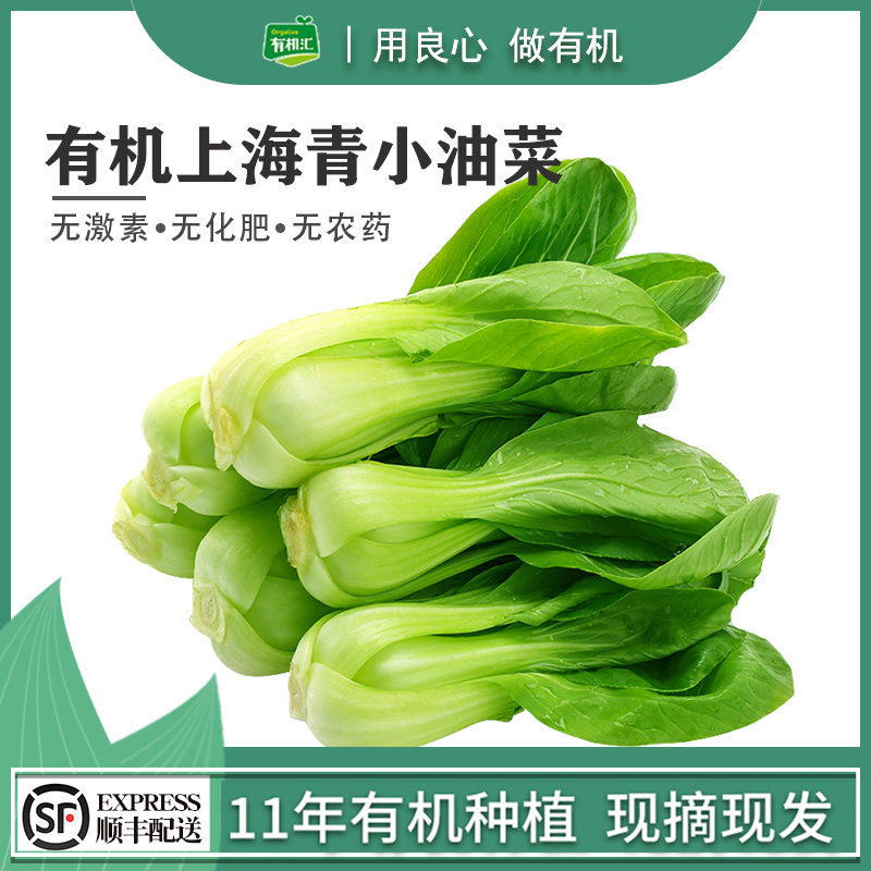 有机汇  有机上海青油菜时令农家新鲜有机蔬菜配送叶菜小青菜500g|msdalam kategori daging perikanan/Buah-buahan segar dan sayur-sayuran/dimasak, sayur-sayuran segar/Vegetable Products, Jingcai - dari Buy2taobao.com untuk memberikan perkhidmatan ejen Taobao profesional membeli