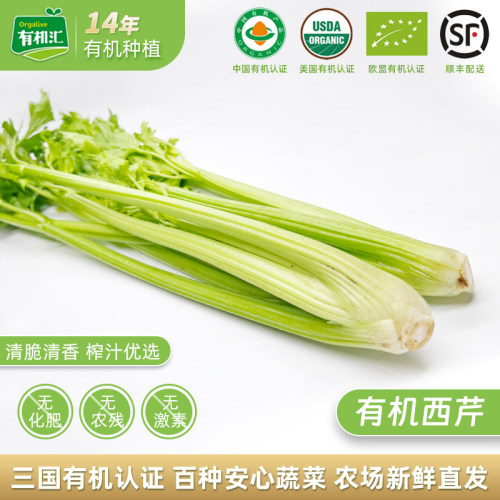 有机汇有机西芹无农残新鲜发货