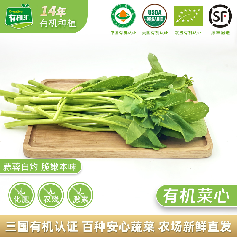有机汇新鲜菜心当天采摘