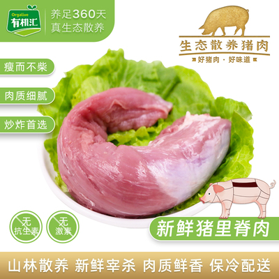 有机汇生态散养猪肉新鲜小里脊