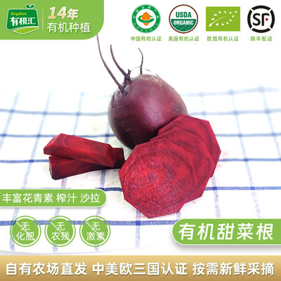 有机甜菜根有机汇农场直发可榨汁