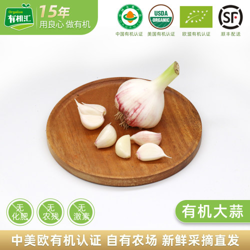 有机汇干蒜大蒜无农残