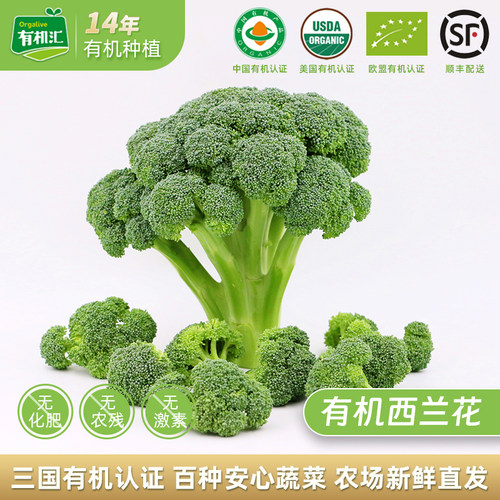 有机汇西兰花农场直发