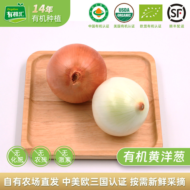 有机汇有机黄洋葱 新鲜蔬菜圆葱白洋葱生吃西餐沙拉葱头食材