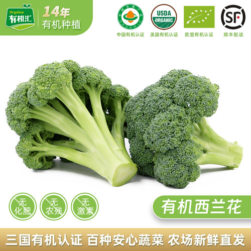 有机汇有机新鲜西兰花半斤一斤装