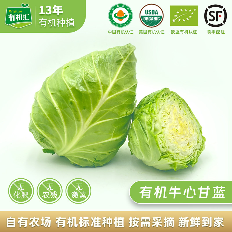 有机汇有机牛心甘蓝 新鲜蔬菜绿甘蓝包心菜卷心菜沙拉菜宝宝辅食,水产肉类/新鲜蔬果/熟食,其它,淘宝优惠券,粉丝福利购,淘宝优惠卷