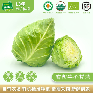 新鮮蔬菜綠甘藍包心菜卷心菜沙拉菜寶寶輔食 有機匯有機牛心甘藍