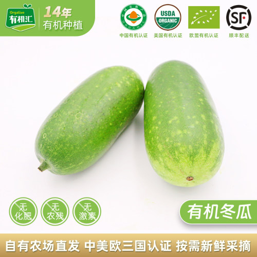 有机汇有机冬瓜新鲜1000g左右