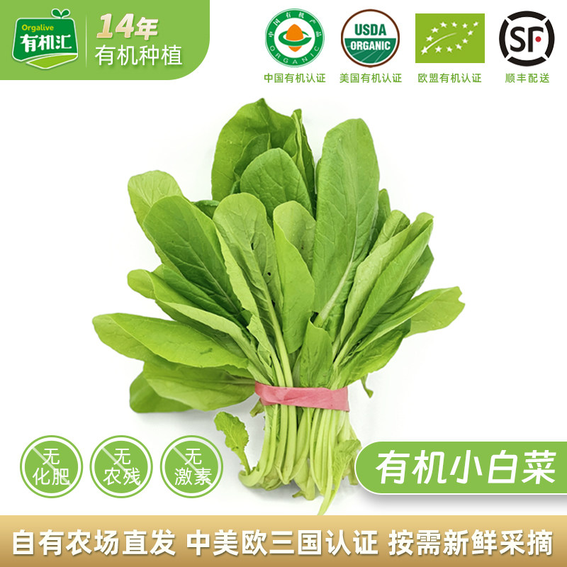 有机汇有机小白菜 新鲜无农残蔬菜自种杭白菜小青菜火锅产地直发