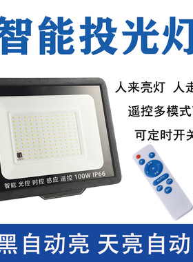 光控感应led投光灯小区庭院灯户外壁灯防水LED户外灯220V天黑亮灯