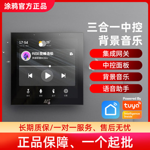 涂鸦Zigbee网关+蓝牙控制4寸背景音乐四合一全屋离线控制场景联动