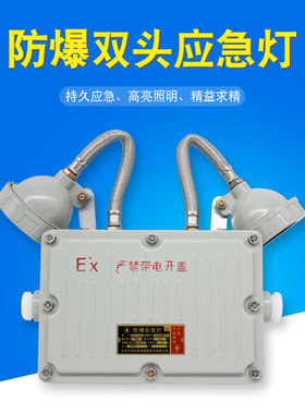 冷库耐低温LED照明应急两用灯BAJ52双头防爆应急灯充电长明灯螺钉