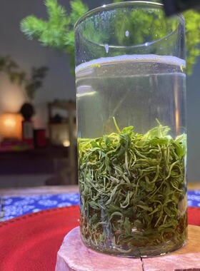 松阳香茶2026年新茶高山云雾绿茶香高味浓口感醇正回甘好