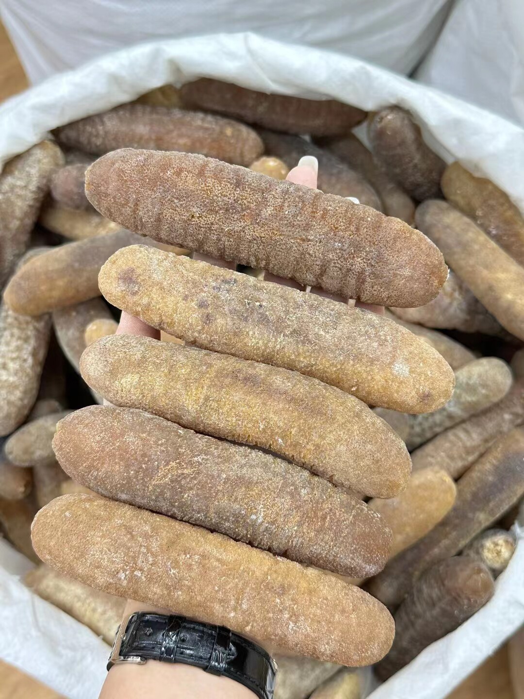 澳洲光秃参深海淡干海参金沙参明干品/即食海参